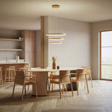 LORAE - Lampe à anneau